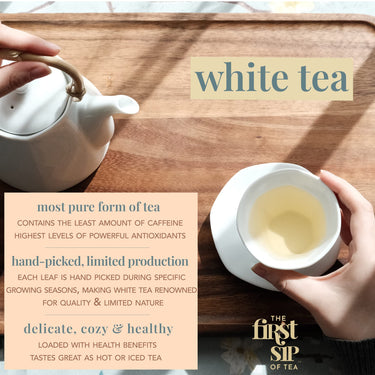 Ambrosia White Tea, Pyramid Sachet Tea Bags, Pai Mu Tan Fruity, Low-Caffeine, Antioxidant-Rich - 16 Cups | The Spice Hut, First Sip Of Tea